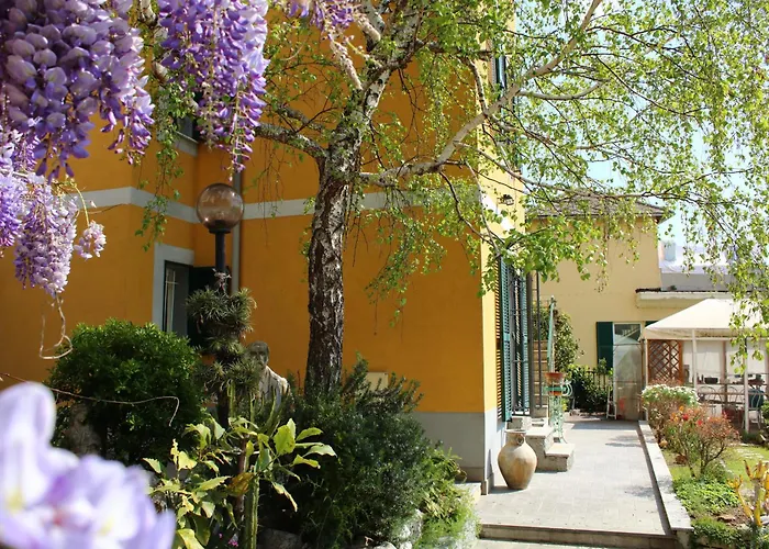La Betulla *